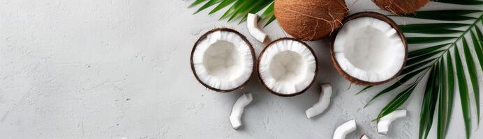 Coconut and Palm Leaves on White Background photo