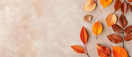 Autumn Leaves on Beige Background photo