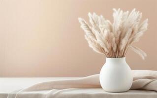 White Vase With Pampas Grass photo