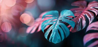 Teal And Pink Leaves In A Forest photo