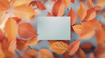 Autumn Leaves Surrounding Blank Card photo
