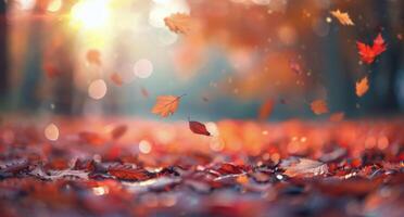 Autumn Leaves Falling on a Sunny Day photo