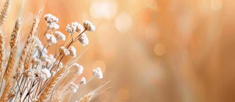 Dried Wheat and Flowers in Autumn Light photo