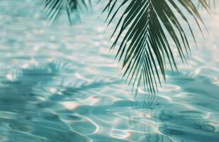 Palm Frond Over Pool Water photo