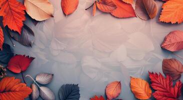 Autumn Leaves Border on Pink Background photo