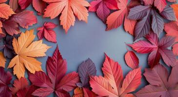Autumn Leaves Border on Pink Background photo