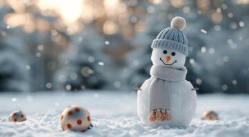 Snowman in Winter Wonderland photo