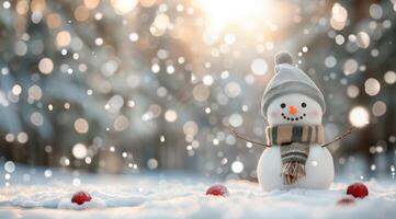 Snowman in Winter Wonderland photo