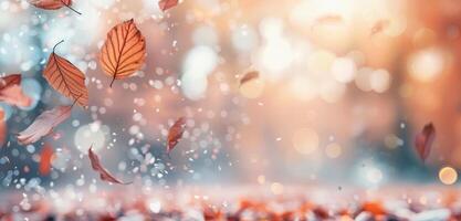 Autumn Leaves Falling on a Sunny Day photo