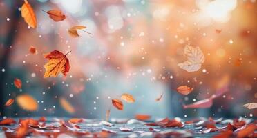 Autumn Leaves Falling on a Sunny Day photo