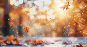 Autumn Leaves Falling on a Sunny Day photo