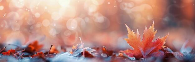 Single Autumn Leaf On Branch photo