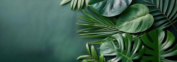 Tropical Leaf Arrangement on Teal Background photo