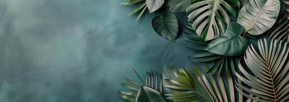 Tropical Leaf Arrangement on Teal Background photo
