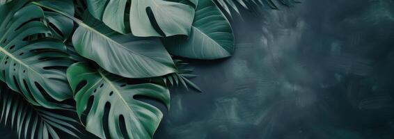 Tropical Leaf Arrangement on Teal Background photo
