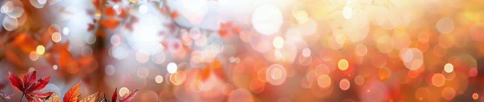 Autumn Leaves Against Bokeh Background photo