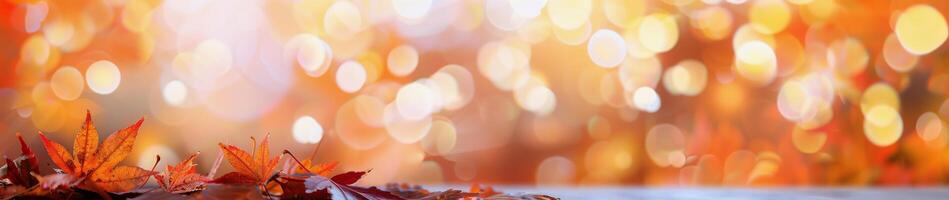 Autumn Leaves Against Bokeh Background photo
