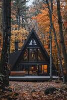 Modern Cabin In Autumn Woods photo