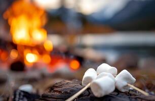 Marshmallows Roasting Over a Campfire at Dusk photo