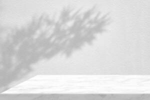 Minimal White Marble Table Corner with Japanese pine Tree Shadow on Concrete Wall Background photo