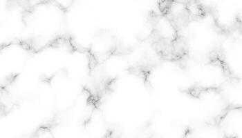 Background with crack. Marble texture background. Abstract white marble background. vector
