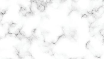 marble granite white panorama background. abstract light elegant black do floor, ceramic texture stone slab. marble texture background with high resolution. vector