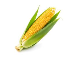 Close up of Fresh corn maize with green leaf isolated on white background., clipping path photo