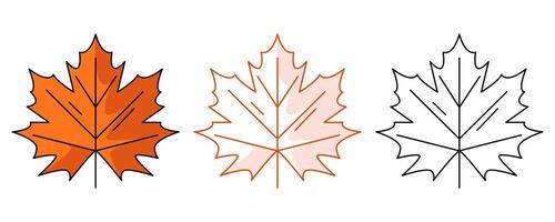 Autumn maple leaf, colorful and line icon set. Fall seasonal concept, flat outline icon, monochrome red and color illustration. For logo, sticker, coloring book, label vector