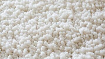 White Boucle Rug Texture Close-Up photo