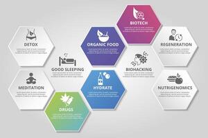 Infographic Biohacking template. Icons in different colors. Include Detox, Meditation, Drugs, Hydrate and others. vector