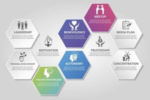 Infographic Business Management template. Icons in different colors. Include Leadership, Personal Development, Positive Psychology, Autonomy and others. vector