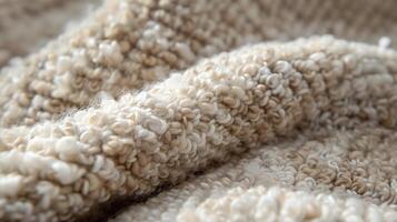 Boucle Rug Texture Close-Up photo