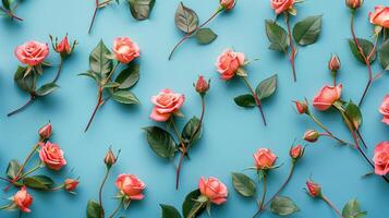 Festive concept from rosebuds on blue background photo