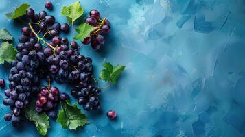 Vino tinto with purple and black grapes on a blue background photo