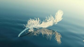 Graceful floating feather photo