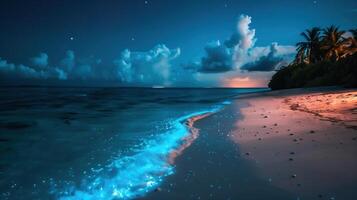 Bioluminescent glowing beach and sea at night. photo