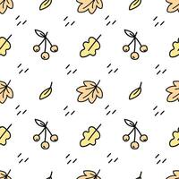 Autumn leaves seamless pattern. isolated on white background vector