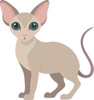 Flat color image of Sphynx Cat vector