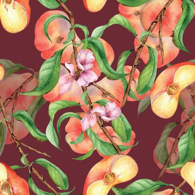 Watercolor branch of peach tree with fruit and flowers seamless pattern isolated on dark. Fig peaches and leaves painted. Chines peaches hand drawn. Design element for package, skin care cosmetic.