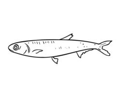 Single anchovy black and white illustration isolated. Fresh sea fish hand drawn ink silhouette. Simple fish sprat contour. Sardine in line art for package, label, menu, market, canned fish vector