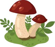 Mushrooms in a forest clearing. A color image of wild mushrooms on a white background. Mushrooms. illustration for children's books and biology textbooks, menus. vector