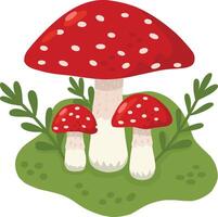 Fly agaric mushrooms in a forest clearing. A color image of fly agaric in a mushroom meadow. illustration for children's books and biology textbooks, children's books, web design and menus. vector