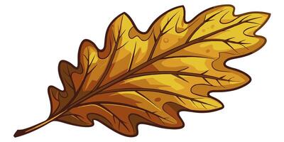 Oak leaf. Oak leaf on a white background. illustration vector