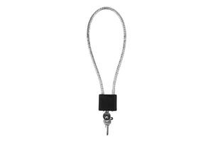 Locks and keys used to safely secure a firearm from being used. Weapon cable lock. photo