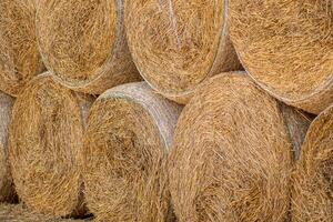 Hay bales neatly stacked on top of each other. Dry straw texture. photo