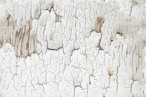 Wooden cracking paint wood texture seamless background and design photo