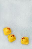 High Angle View of yellow rubber duck in bath swimming in foam water. Yellow rubber ducklings in soapy foam. photo