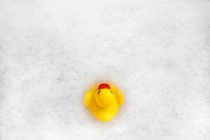 High Angle View of yellow rubber duck in bath swimming in foam water. Yellow rubber ducklings in soapy foam. photo