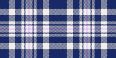 Femininity fabric pattern, gorgeous textile seamless background. Lovely tartan plaid texture check in blue and white colors. vector