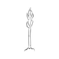 Asparagus sketch. Simple illustration in doodle style vector